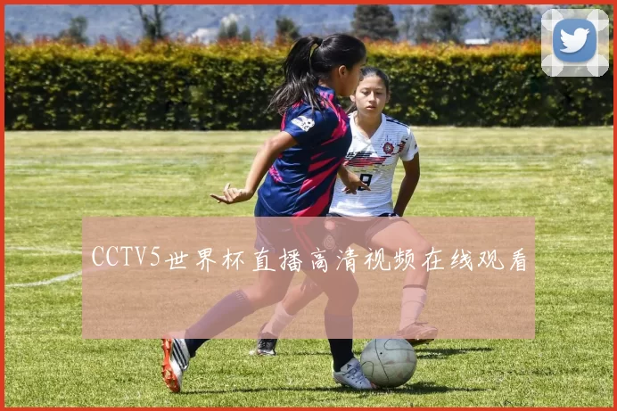 CCTV5世界杯直播高清视频在线观看