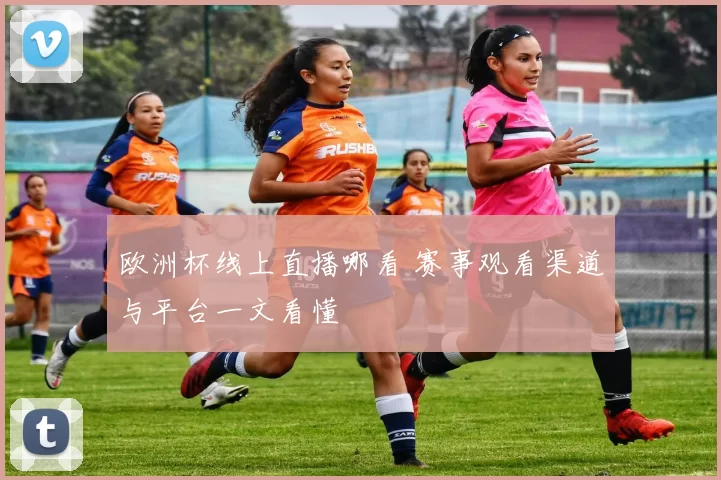 欧洲杯线上直播哪看 赛事观看渠道与平台一文看懂