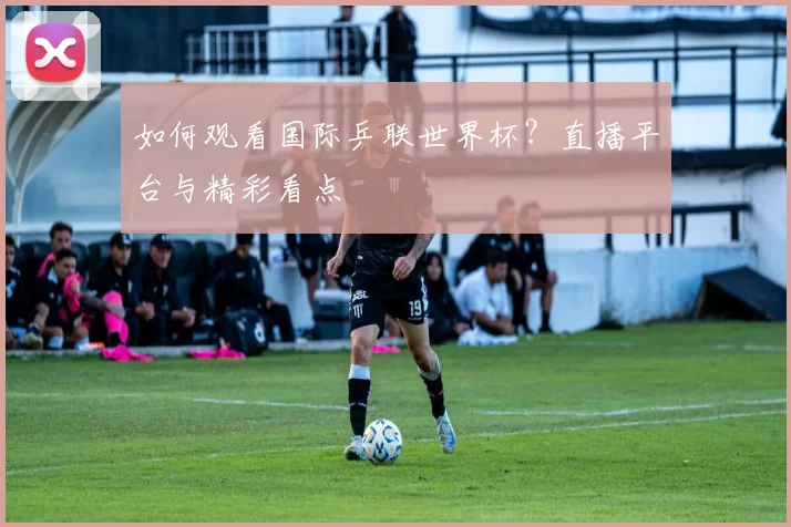 如何观看国际乒联世界杯?直播平台与精彩看点