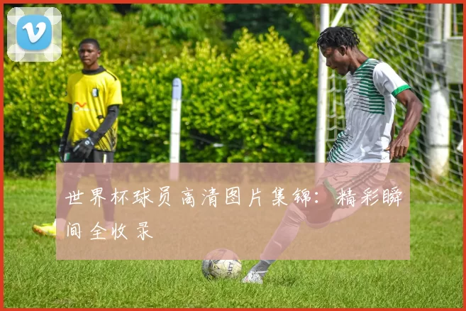 世界杯球员高清图片集锦：精彩瞬间全收录
