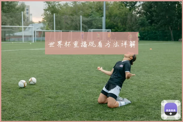 世界杯重播观看方法详解
