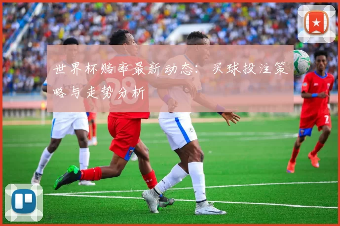 世界杯赔率最新动态：买球投注策略与走势分析