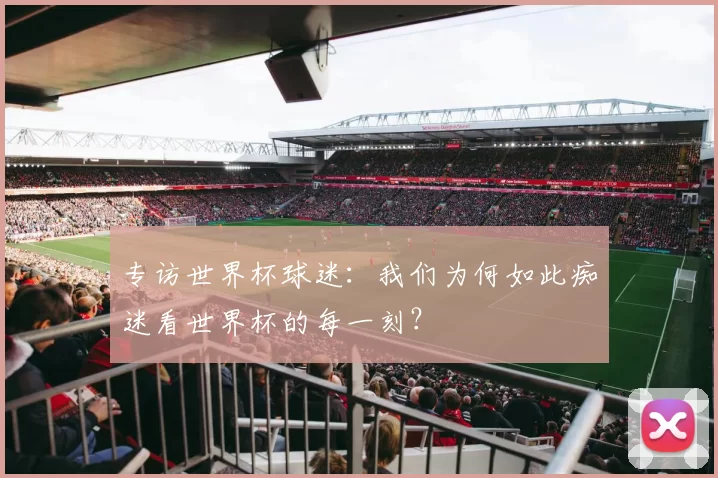 专访世界杯球迷：我们为何如此痴迷看世界杯的每一刻？