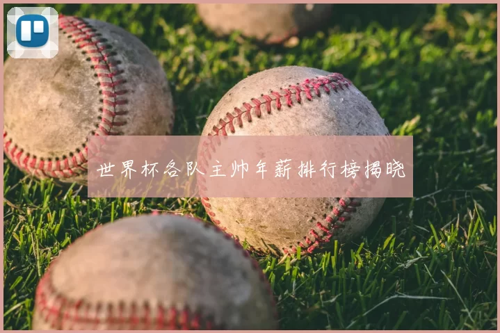 世界杯各队主帅年薪排行榜揭晓