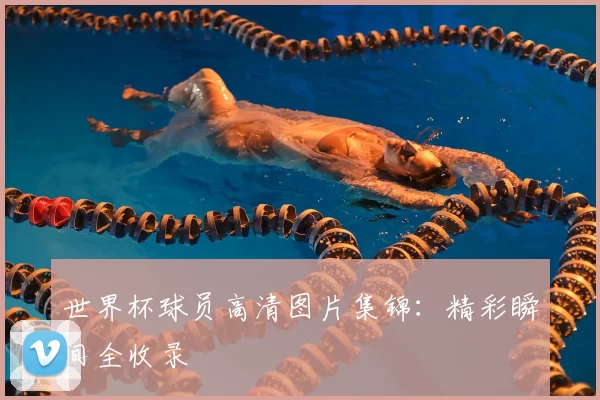 世界杯球员高清图片集锦：精彩瞬间全收录