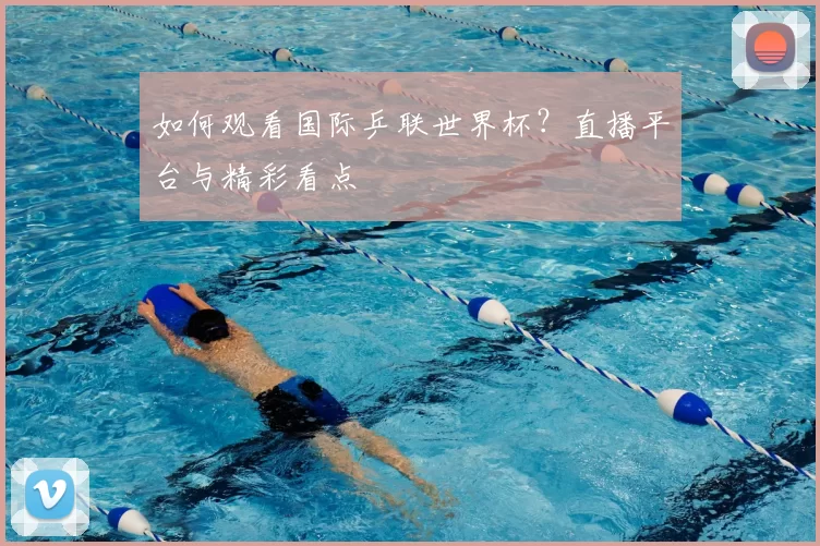 如何观看国际乒联世界杯？直播平台与精彩看点