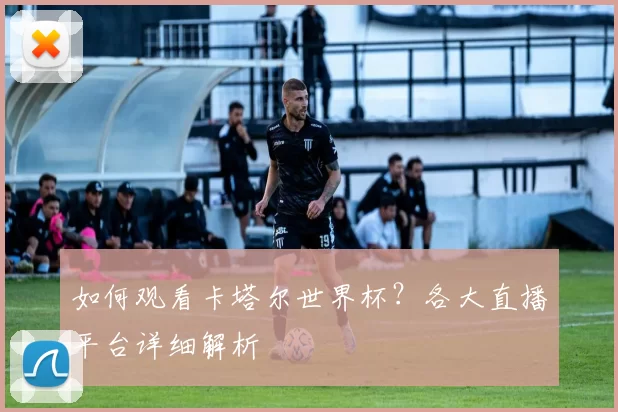 如何观看卡塔尔世界杯?各大直播平台详细解析