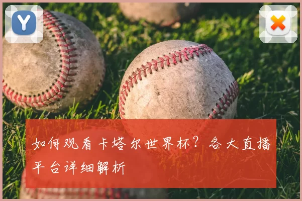 如何观看卡塔尔世界杯？各大直播平台详细解析
